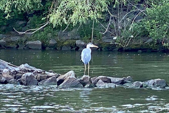 Explore Bird & Marine Wildlife private Boat Tour in English - Who Should Consider This Tour?
