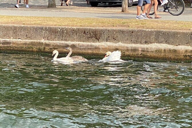 Explore Bird & Marine Wildlife private Boat Tour in English - Final Thoughts