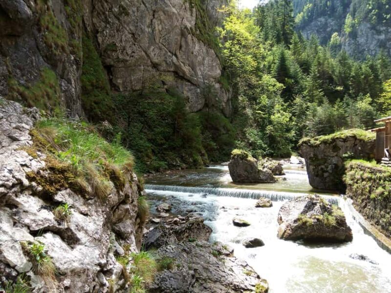 Explore Bucovinas UNESCO Painted Monasteries  3-Day Tour - Accommodation and Meals