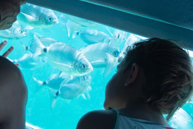 Explore Cap Norfeu and the Secret Cave: An Underwater World - Booking and Cancellation Policies