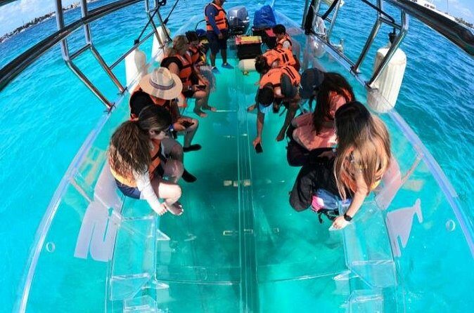 Explore Caribbean in a Transparent Boat in Isla Mujeres - Who Should Consider This Tour?