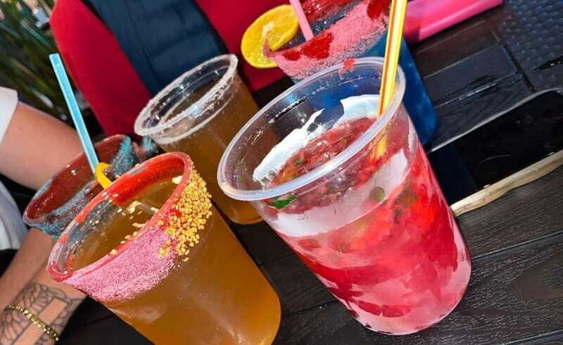 Explore CDMX with tacos, micheladas and a popular drink route - Final Thoughts