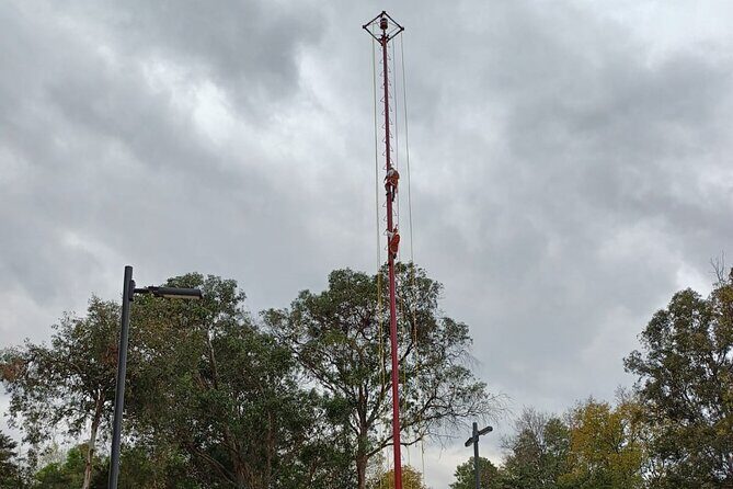 Explore Chapultepec & Mexico City sights by Bike - What the Reviews Say