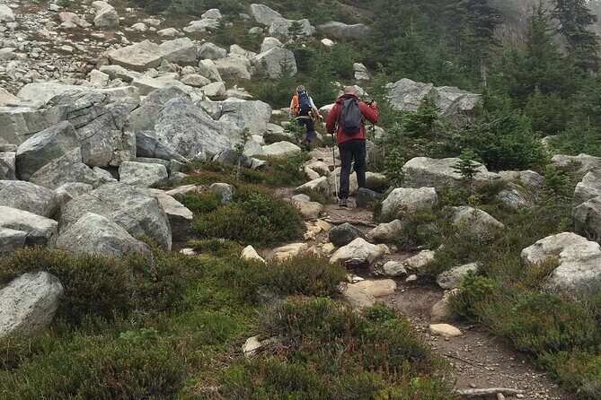 Explore Coastal Mountain Treasures: Scenic Hike from Squamish, BC - A Closer Look at the Scenic Hike from Squamish