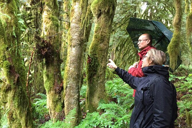 Explore Coastal Mountain Treasures: Scenic Hike from Squamish, BC - Final Thoughts