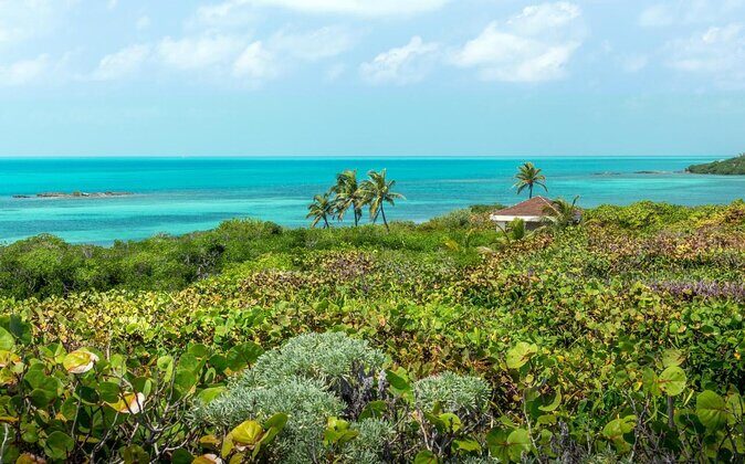 Explore Contoy Island - Key Points