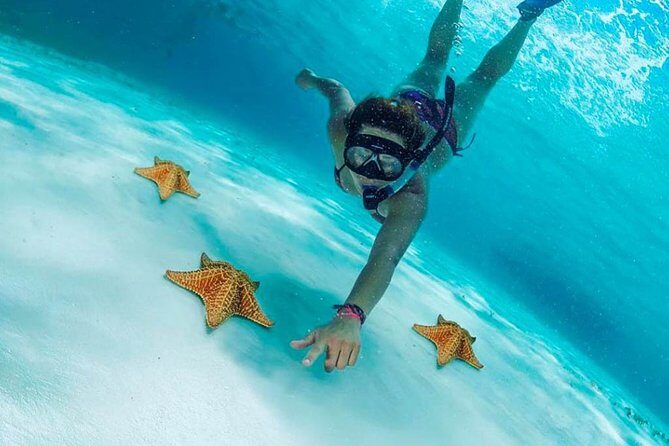 Explore El Cielo in Cozumel. Snorkel in 3 different reefs & visit Cielito Beach. - A Closer Look at the Itinerary