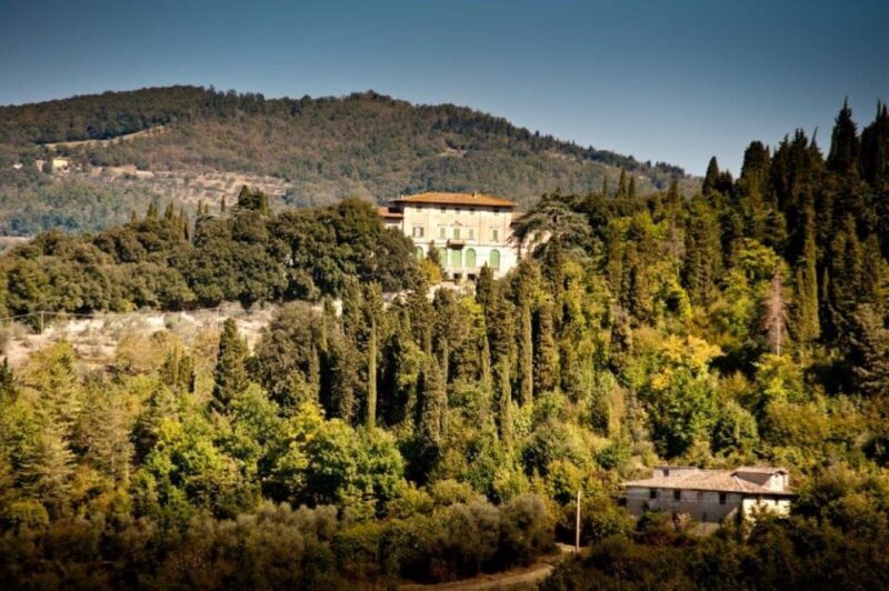 Explore Elegance: Savor 3 Exquisite Wines at Tenuta Bossi - A Practical Look at the Tour