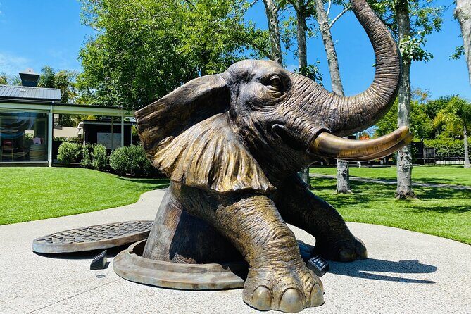 Explore gardens & galleries filled with incredible art, Matakana - Practical Tips for Visiting