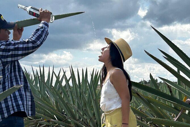 Explore Hierve el Agua, Mitla, Tule, Textile and Mezcal for a day - The Sum Up