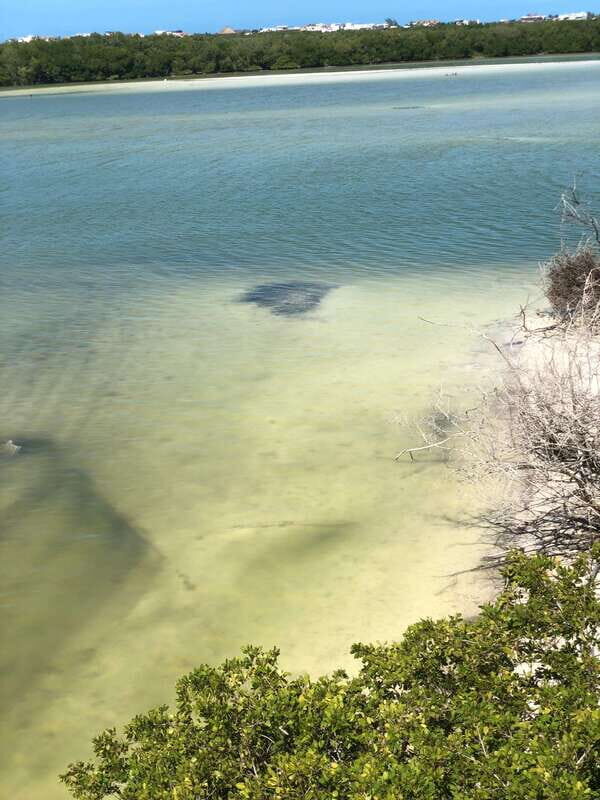 Explore Holbox Island VIP - 4 Points + Guacamole - FAQ