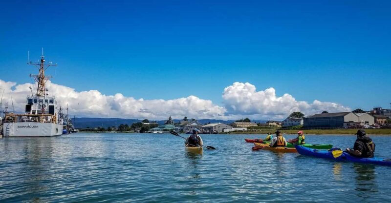 Explore Humboldt Bay by Kayak - Key Points