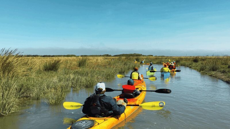 Explore Humboldt Bay by Kayak - Final Thoughts