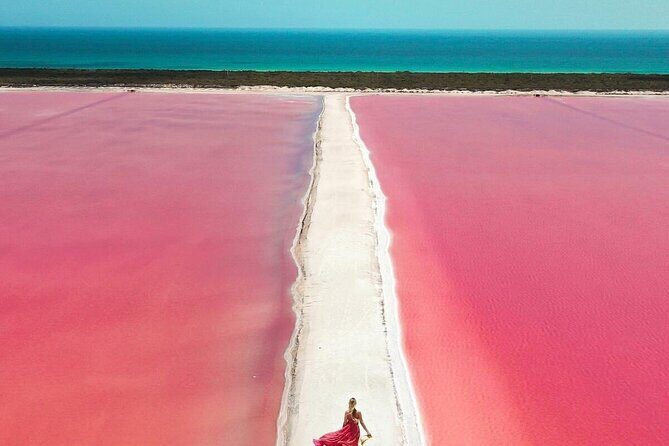 Explore Las Coloradas & Rio Lagartos from Riviera Maya - An In-Depth Look at the Tour