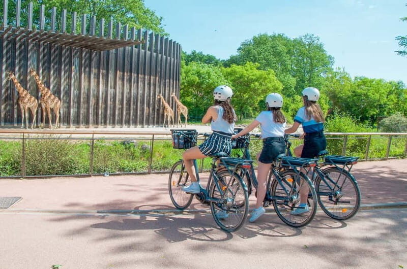 Explore Lyon and famous Tête d'Or Park by electric bike - Key Points