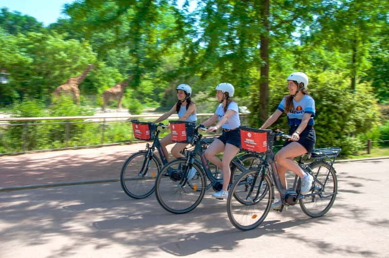 Explore Lyon and famous Tête d'Or Park by electric bike - The Practical Bits: What You Should Know