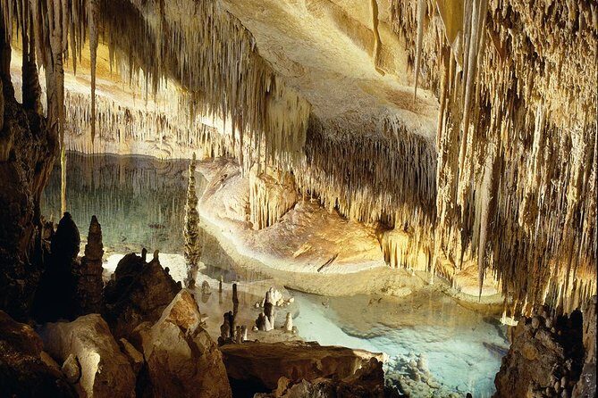 Explore Mallorca: Majorica Pearl Shop and Caves of Drach - What to Expect from the Tour