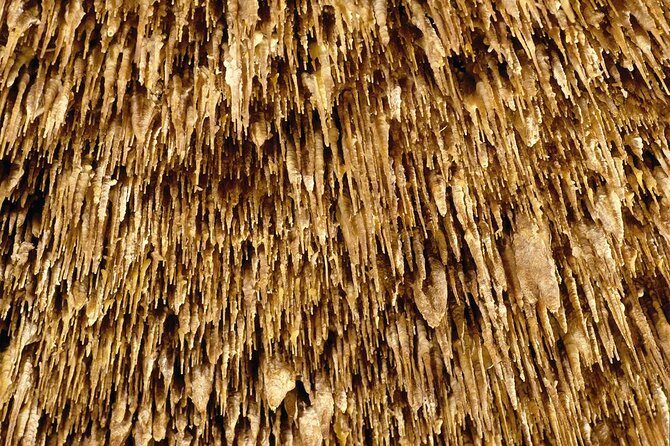 Explore Mallorca: Majorica Pearl Shop and Caves of Drach - What Do the Reviews Say?