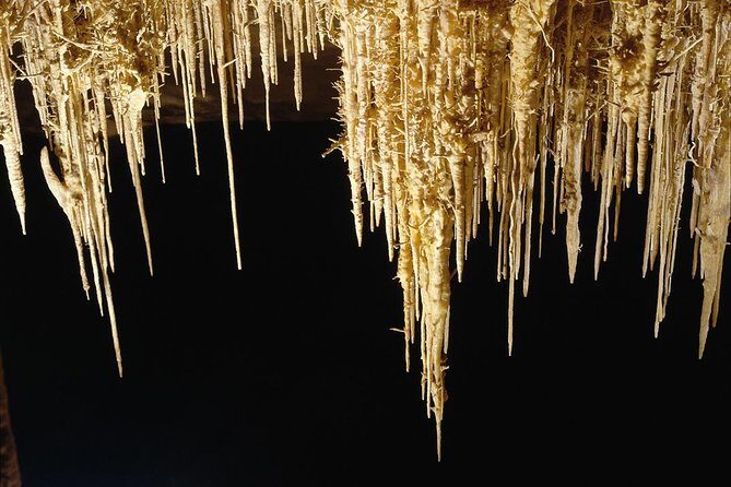 Explore Mallorca: Majorica Pearl Shop and Caves of Drach - FAQ