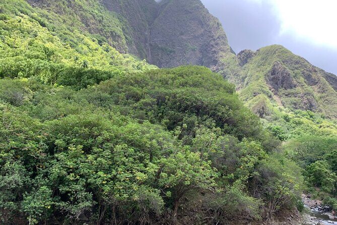 Explore Maui Private Tour - Authentic Traveler Perspectives