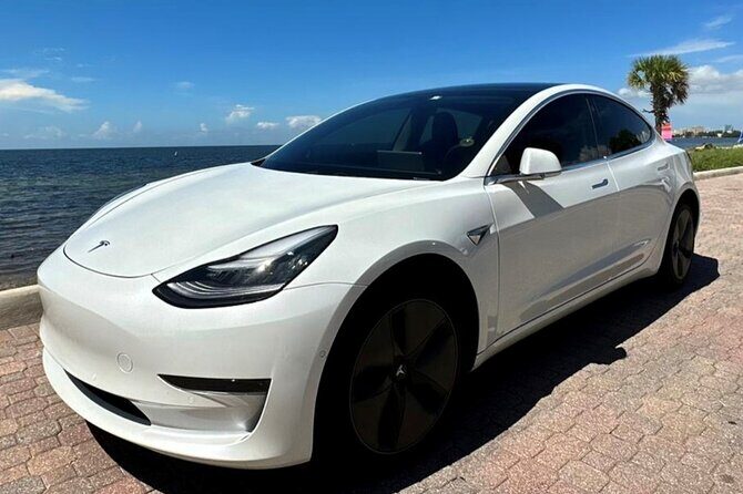 Explore Miami with a Private driver - What the Tour Offers and Why It Works