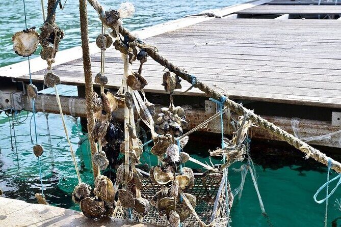 Explore Mostar, Ston and Kravice Waterfalls ( Small Group ) - FAQs