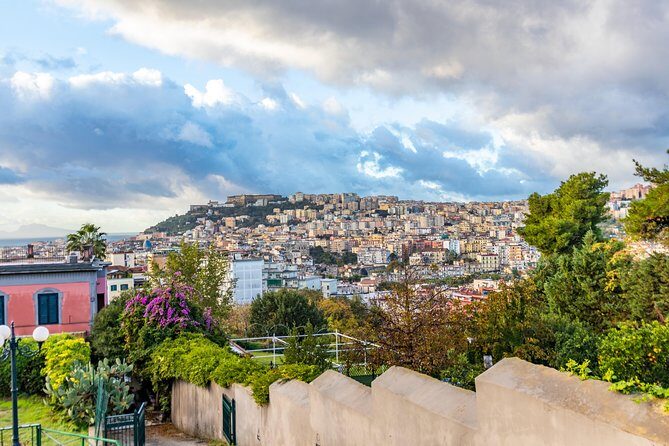 Explore Naples in 60 minutes with a Local - Key Points
