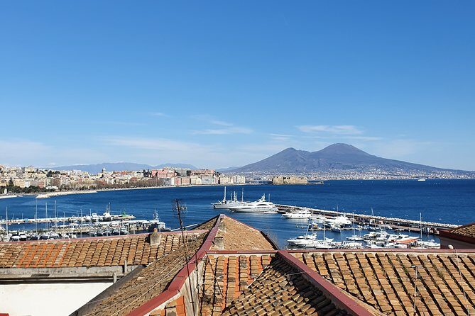 Explore Naples & Pompeii in One Day  Guided Half-Day Tour - Key Points