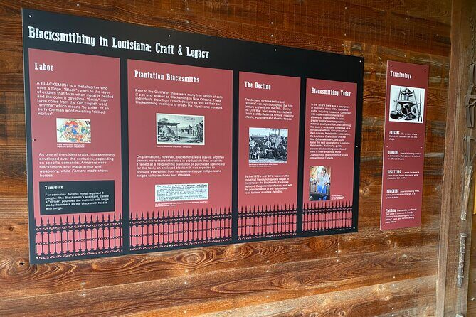 Explore Oak Alley Plantation Guided Tour with Transportation - A Closer Look at the Tour Experience