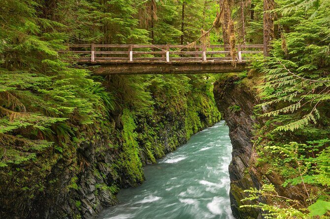 Explore Olympic National Park from Seattle through Van /Ferry - Who Will Enjoy This Tour Most?