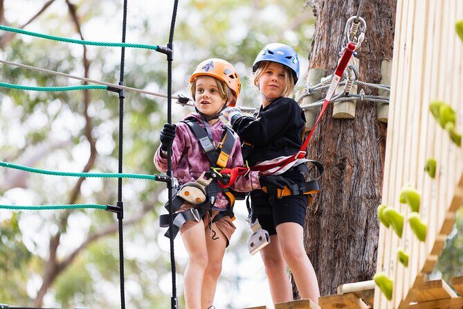 Explore Ourimbah State Forest Junior Tree Ropes Course - The Itinerary and What to Expect