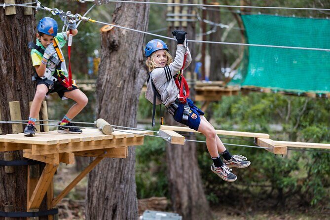 Explore Ourimbah State Forest Junior Tree Ropes Course - Who Would Enjoy This?