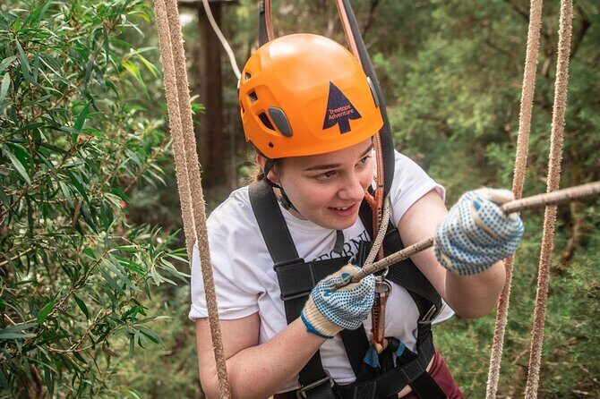 Explore Ourimbah State Forest Tree Ropes Course - FAQ