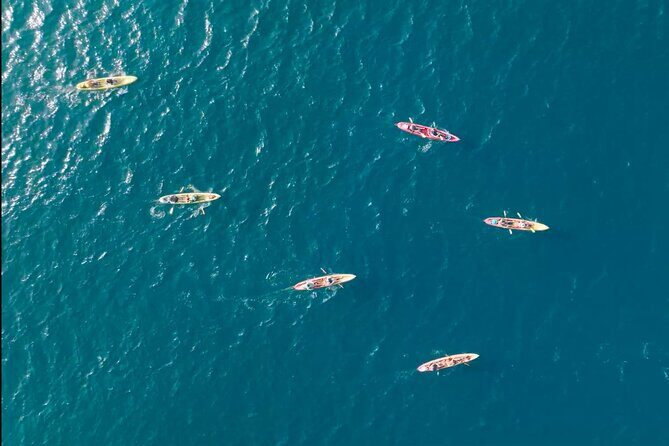 Explore Point Reyes by Sea Kayak - Exploring Point Reyes by Sea Kayak: A Detailed Look