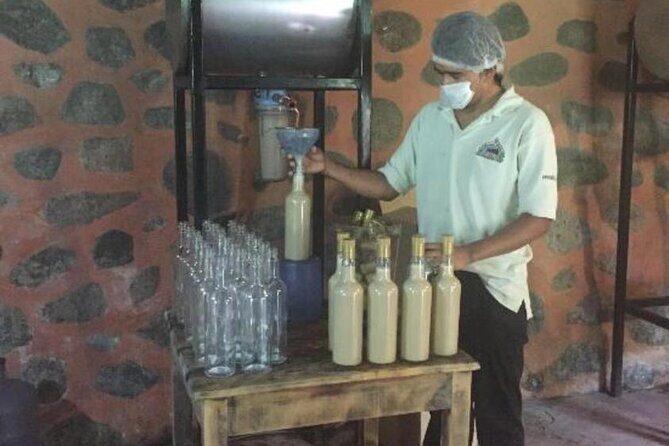 Explore Puerto Vallarta and Tequila Tasting - Who Will Appreciate This Tour?