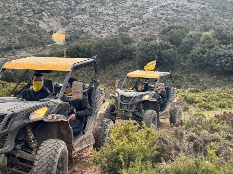 Explore Ronda by Buggy: Nature and Adrenaline - Key Points