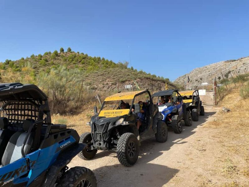 Explore Ronda by Buggy: Nature and Adrenaline - Value and Pricing Considerations