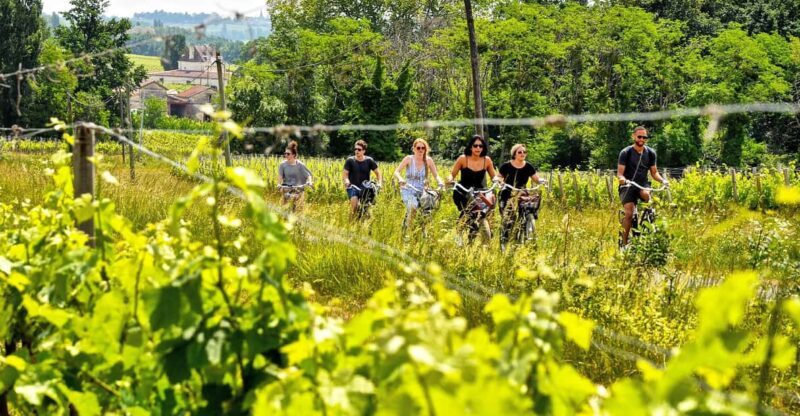 Explore Saint-Émilion on e-Bikes: Small Group, half-Day Tour - An In-Depth Look at the Experience