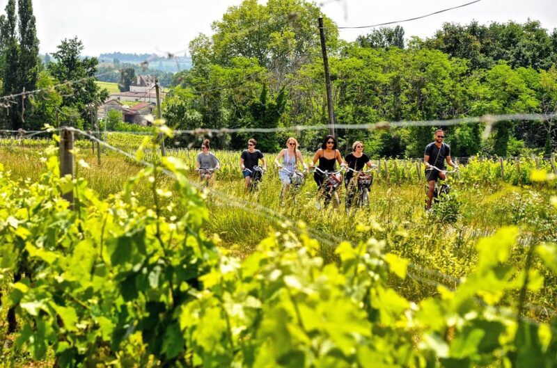 Explore Saint-Émilion on e-Bikes: Small Group, half-Day Tour - What You’ll Actually Get