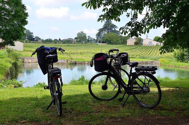 Explore Saint-Émilion on e-Bikes: Small Group, half-Day Tour - Practical Details & Considerations