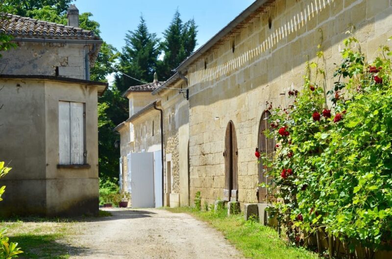 Explore Saint-Émilion on e-Bikes: Small Group, half-Day Tour - Final Thoughts: Is This Tour Right for You?
