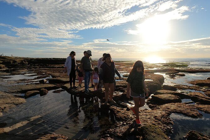 Explore San Diego Tide Pools with a Marine Biologist - Exploring San Diego Tide Pools with a Marine Biologist: A Friendly, Honest Review
