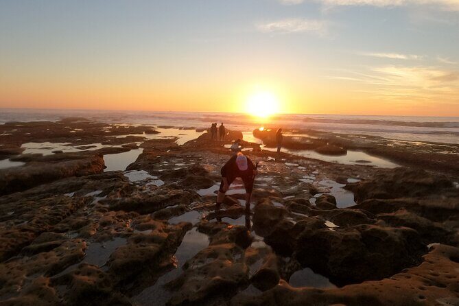 Explore San Diego Tide Pools with a Marine Biologist - Who Is This Tour Best For?