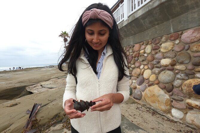 Explore San Diego Tide Pools with a Marine Biologist - FAQ
