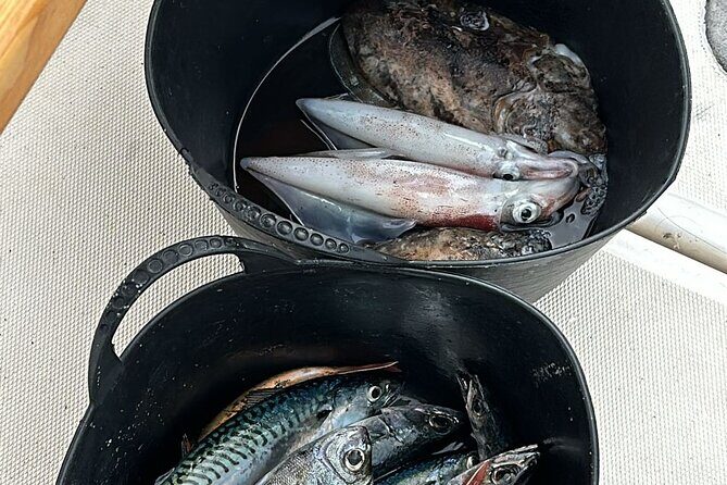 Explore Sesimbra Sports Fishing - Final Thoughts