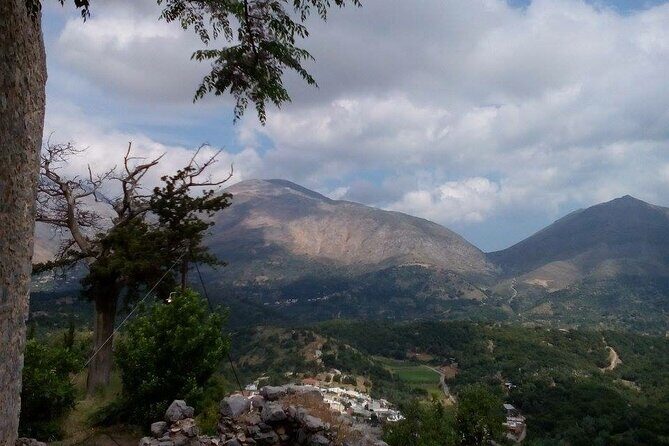 Explore Shepherds Hut and Cheese Making Process - Who Should Consider This Tour?