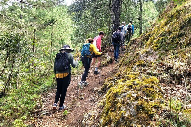 Explore Sierra Norte, Half-Day Hiking Adventure - A Closer Look at the Sierra Norte Half-Day Hike