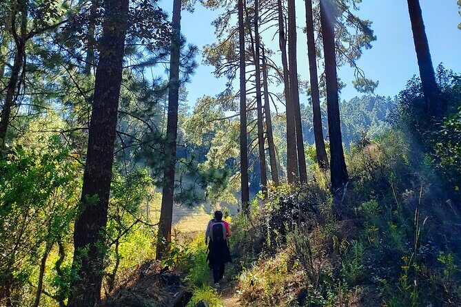 Explore Sierra Norte, Half-Day Hiking Adventure - Who Will Love This Tour?