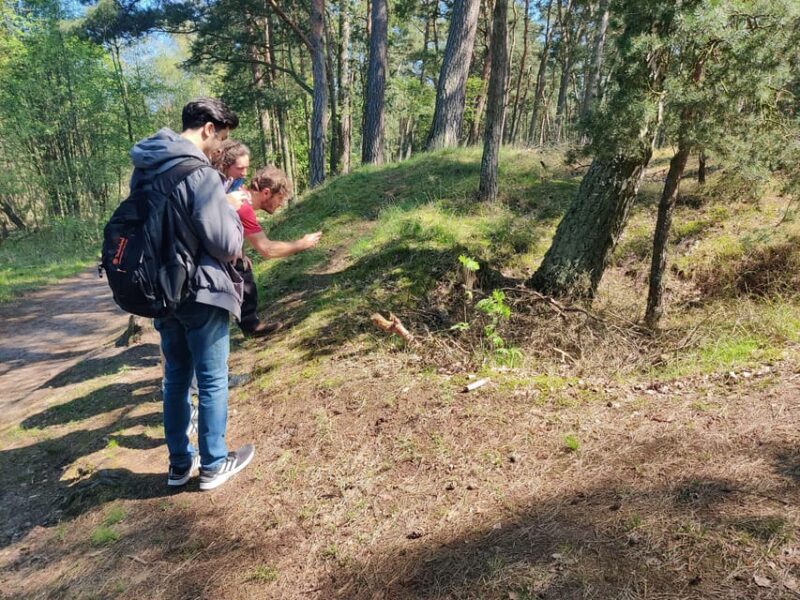 Explore Sobieszewo Island: Nature Walk & Wildlife Tour - Key Points