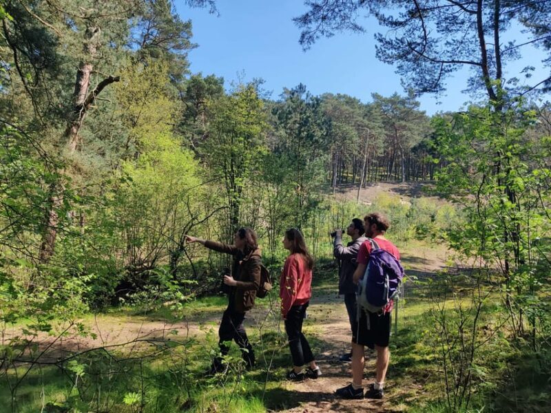 Explore Sobieszewo Island: Nature Walk & Wildlife Tour - A Closer Look at the Sobieszewo Island Experience